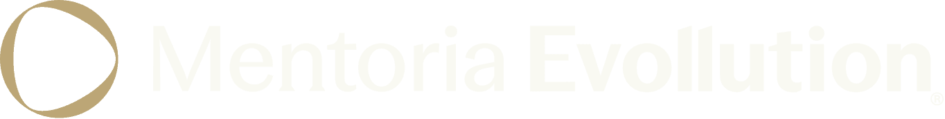 Mentoria Evollution